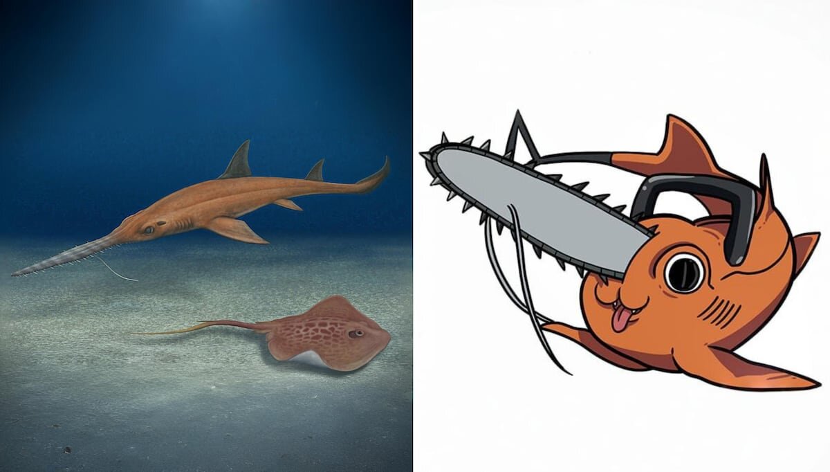 Pochitaserra pochita chainsaw man