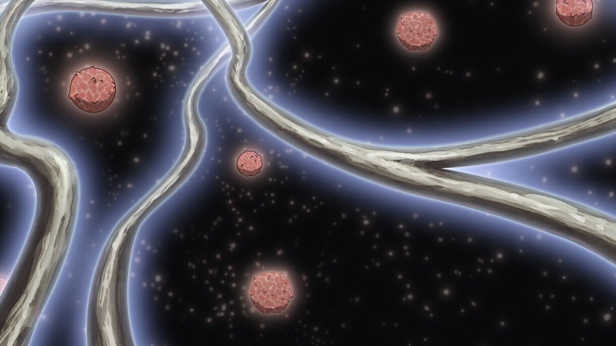 To Your Eternity Nokkers