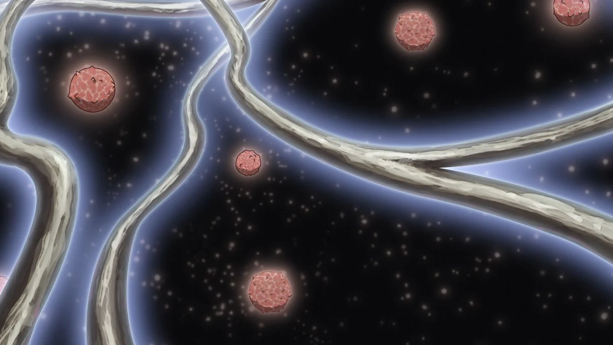 To Your Eternity Nokkers