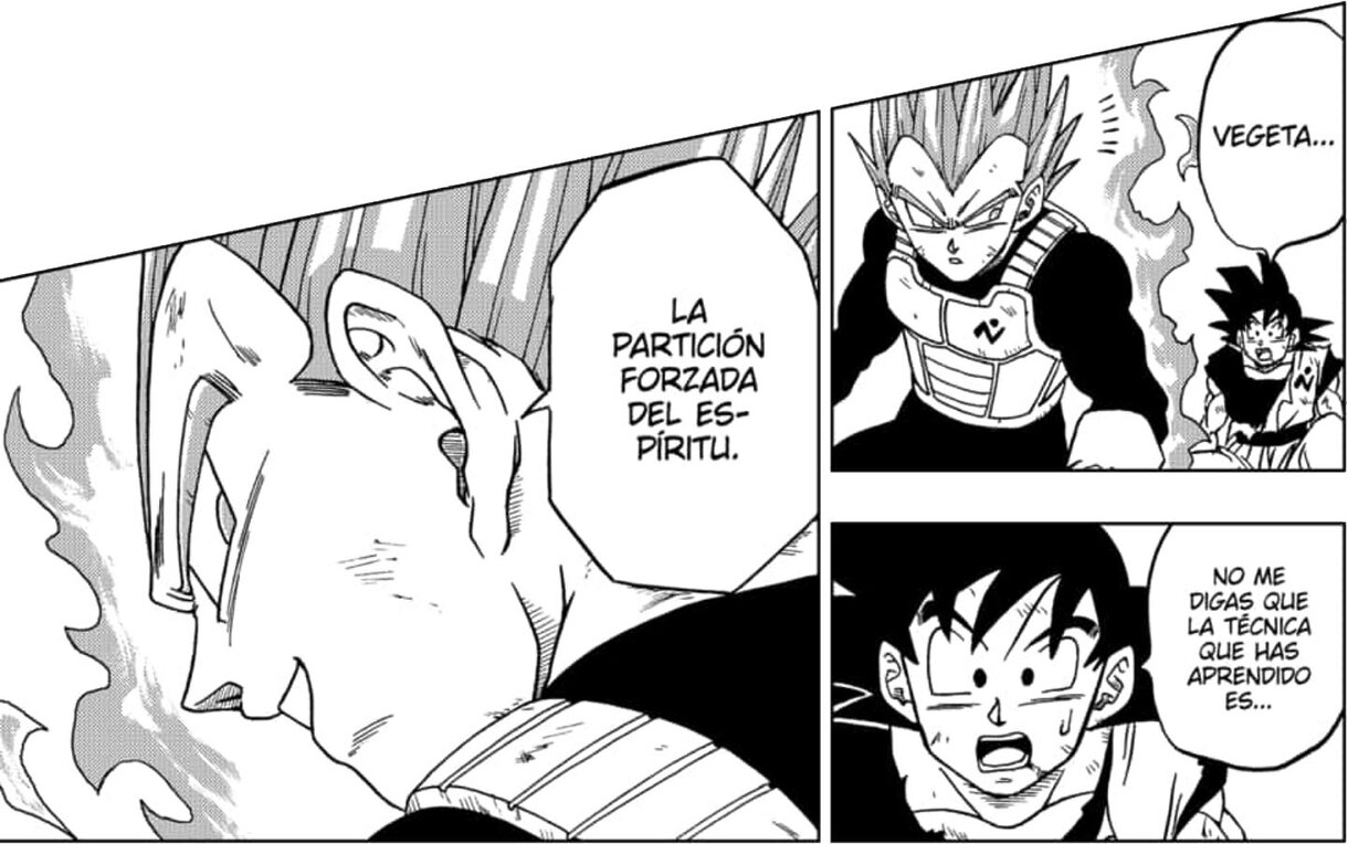 vegeta particion forzada del espiritu