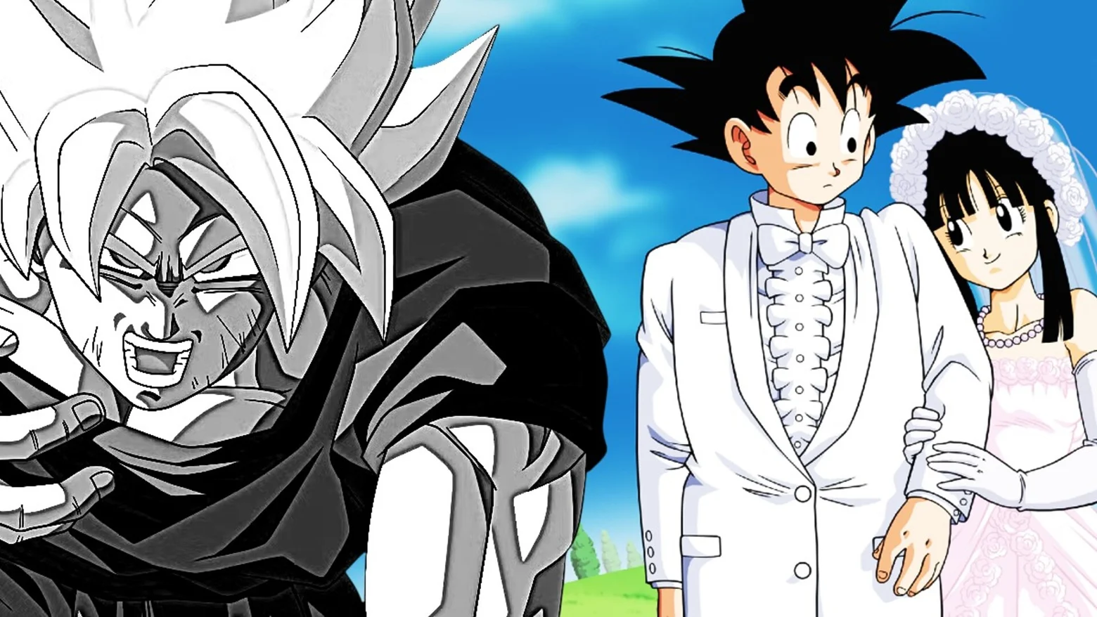 dragon ball boda goku