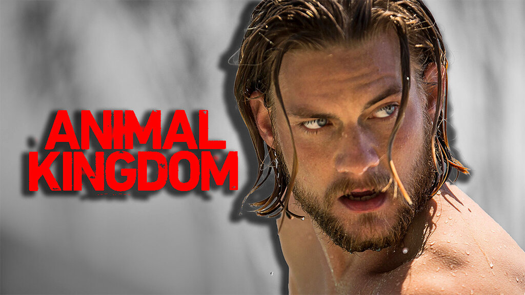 animal kingdom tv