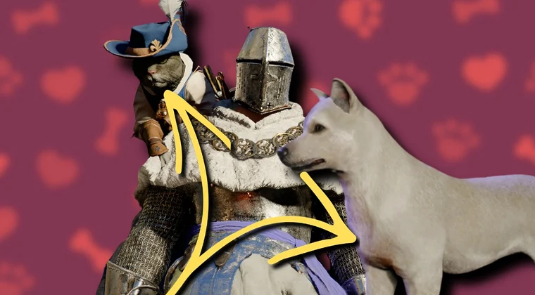 Imagen de Si te preguntas si puedes tener tu propio perro o gato en Crimson Desert, la respuesta es sí (además, son muy útiles)