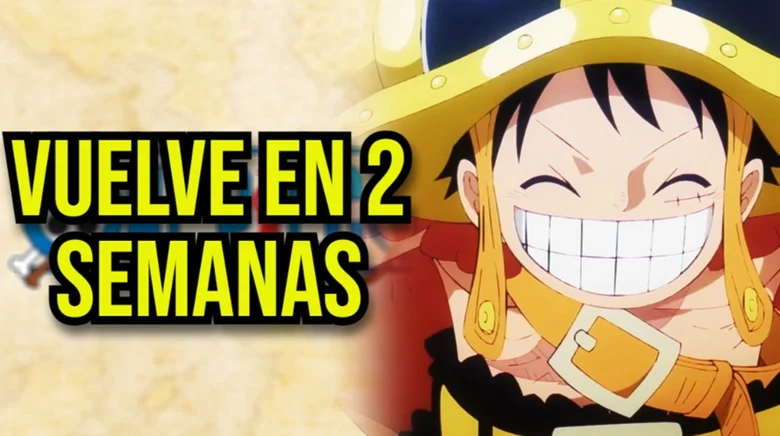 one piece vuelve en 2 semanas (2)
