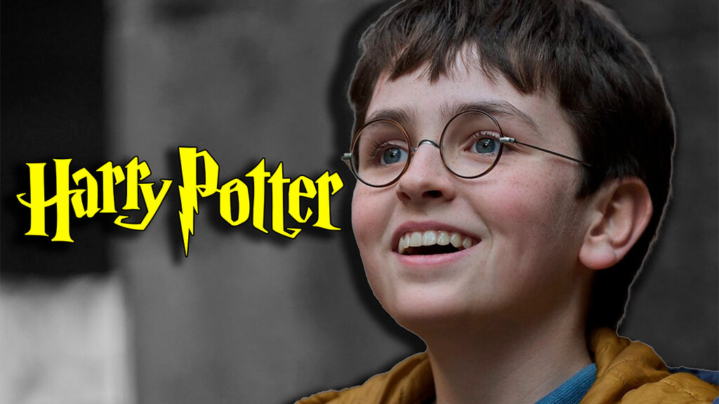 serie harry potter detalles
