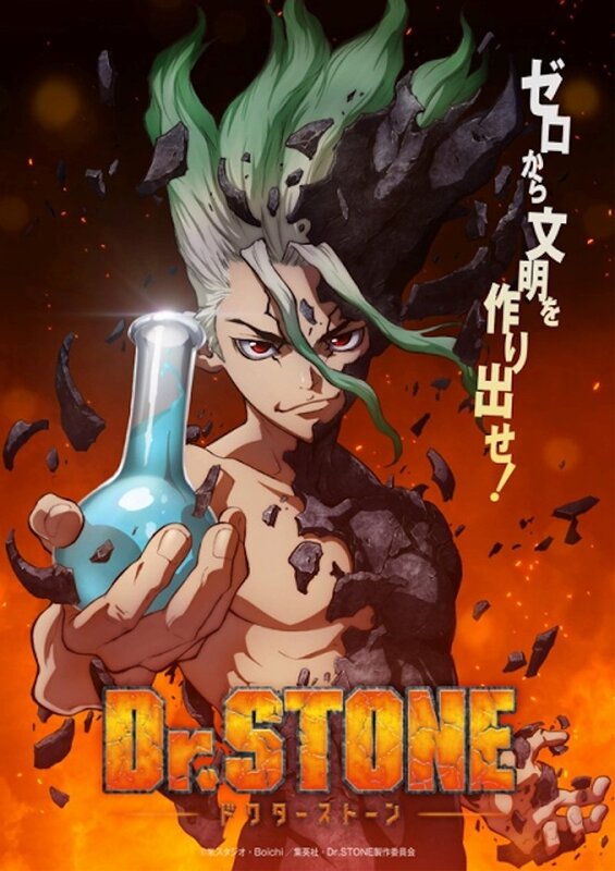 Dr Stone cartel