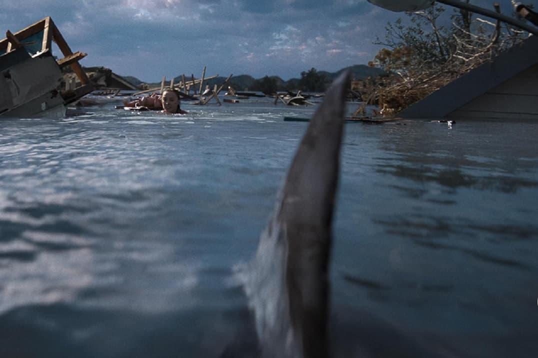 embestida pelicula netflix