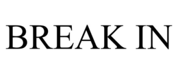 Logotipo de Break In