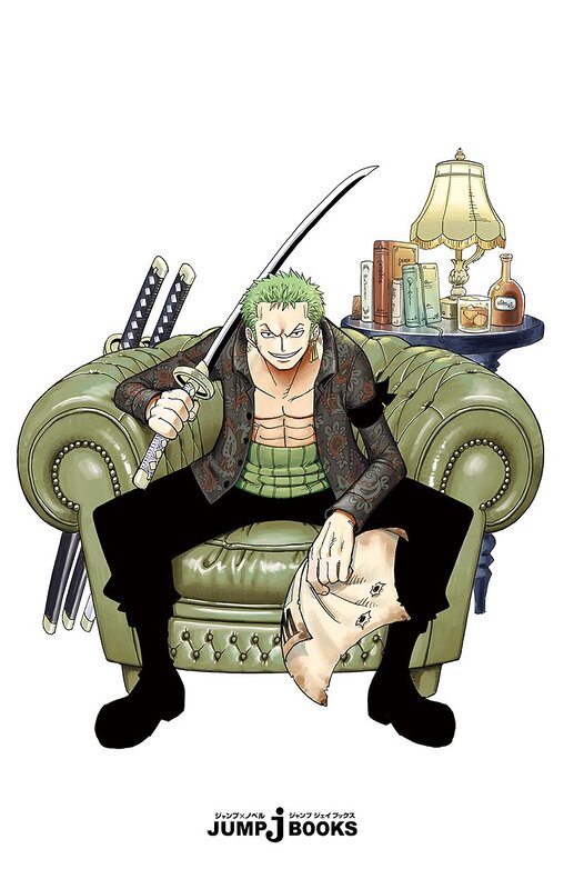 one piece novel zoro
