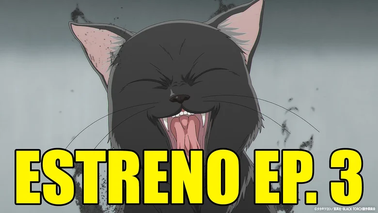 Black Torch horario